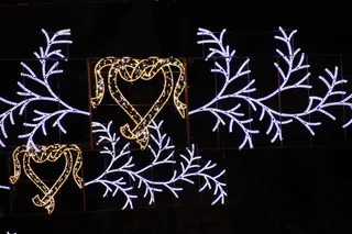 Encendido de las luces de navidad 2021 Andrea M