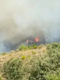 Declarado un incendio forestal en Trabanca
