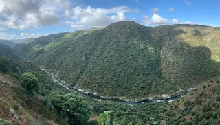 Proyecto de creación de un Observatorio Ecológico Transfronterizo en torno al Duero