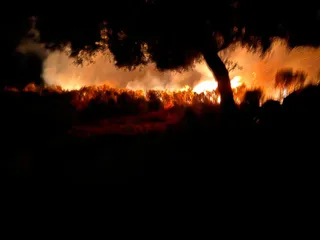 Bomberos de Ledesma sofocando el fuego