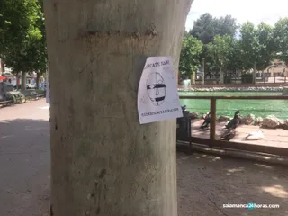 Acercate2