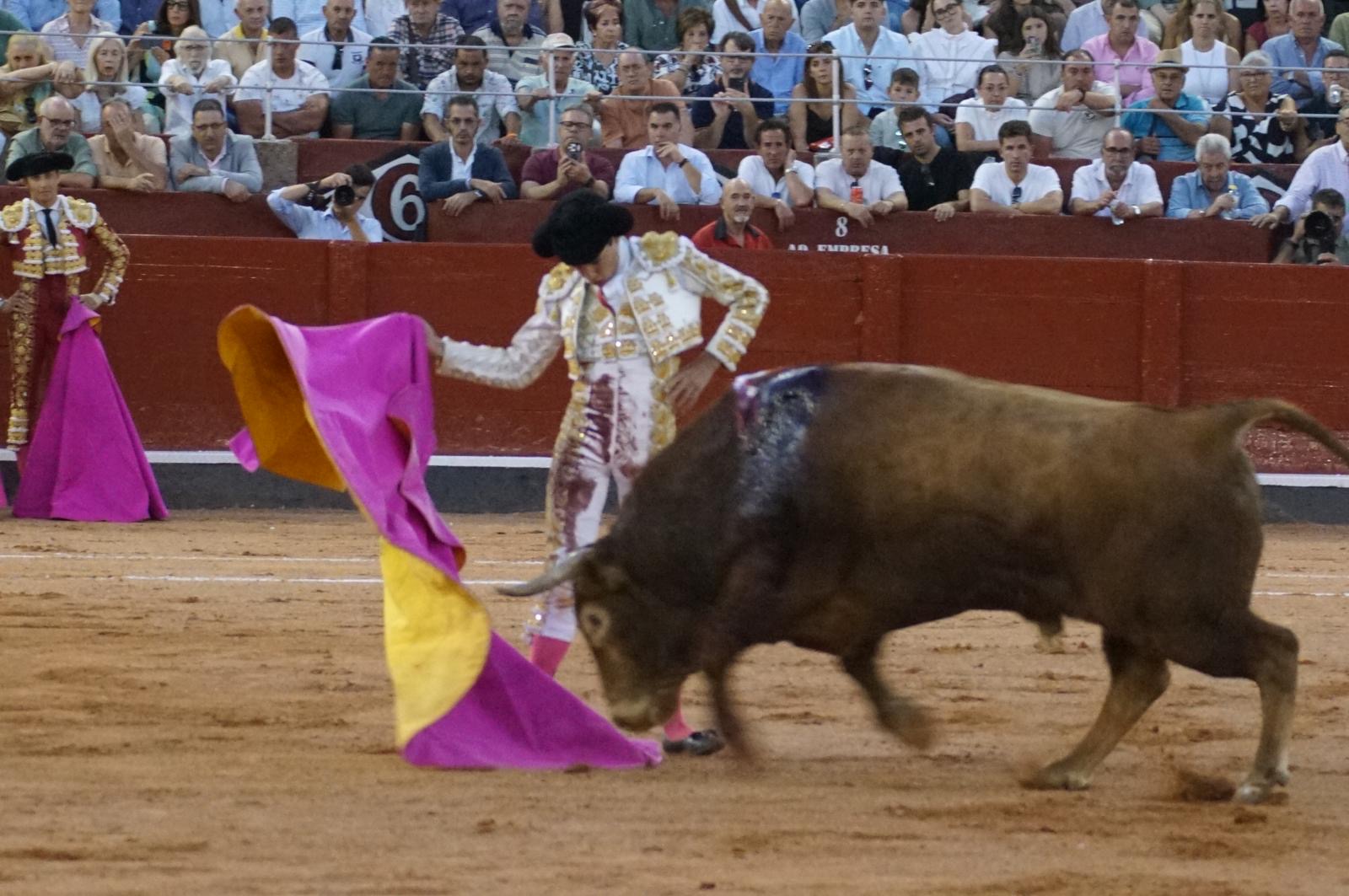 Marco P&eacute;rez con 'Vanidoso', toro de vuelta al ruedo de Garcigrande | Juanes
