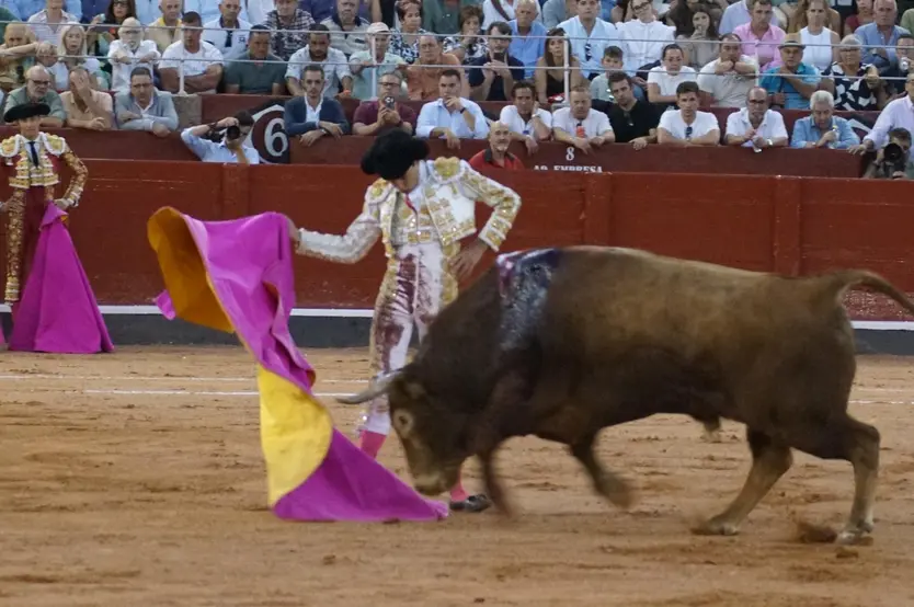 Marco Pérez con 'Vanidoso', toro de vuelta al ruedo de Garcigrande | Juanes
