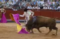 Corrida de Garcigrande en Salamanca | Asier Galache