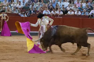 Corrida de Garcigrande en Salamanca | Asier Galache