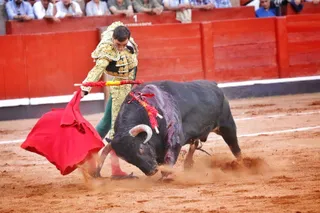 Paco Ureña con 'Inspector', el quinto toro de La Ventana de El Puerto. Foto Andrea M.