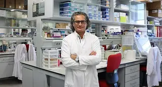 Juan Pedro Bolaños catedrático de la USAL y científico del IBFG y el IBSAL