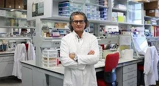 Juan Pedro Bolaños catedrático de la USAL y científico del IBFG y el IBSAL