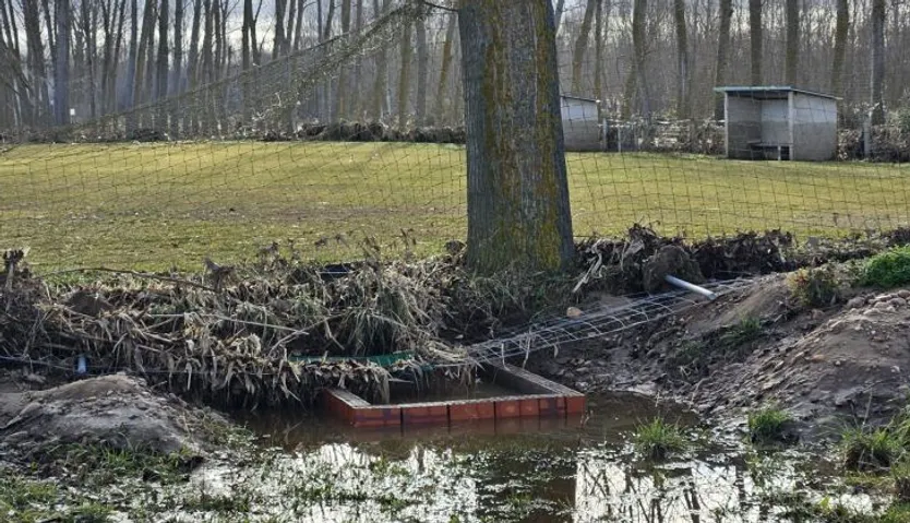 Juzbado, daños causados por la borrasca Juan en el campo de fútbol y la chopera3