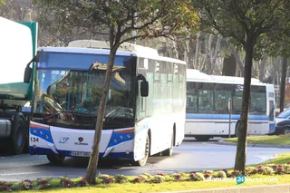 Autobus bus copia