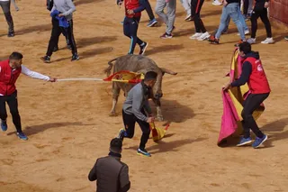 Novillada sin picadores en el Carnaval del Toro de Ciudad Rodrigo 2022 (domingo, 27 de febrero) 1
