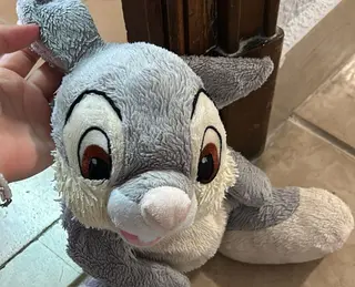 Foto enviada por uno de los jóvenes que encontró el peluche