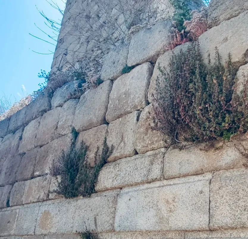 Muralla Ledesma
