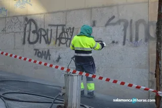 Limpieza de pintadas (16)