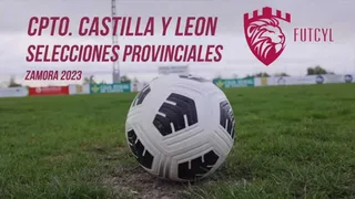 descarga