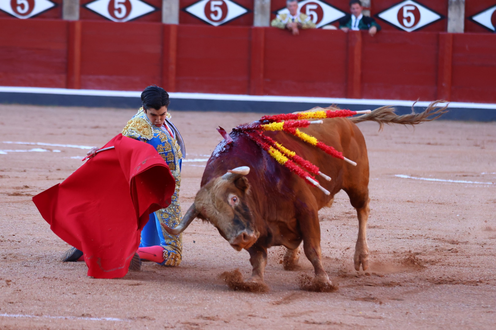 Marco P&eacute;rez toreando de rodillas al toro de Domingo Hern&aacute;ndez | Mateo G.J