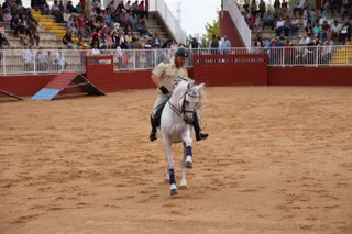 Exhibición de razas equinas del CMCC de Ávila. Fotos Andrea M.