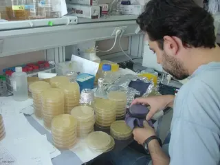 La Universidad de Salamanca recibe ayudas para financiar 26 investigaciones