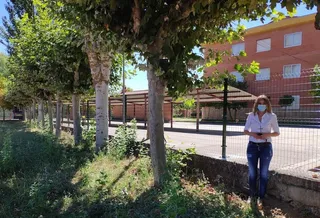 Valla Carmen Martín Gaite