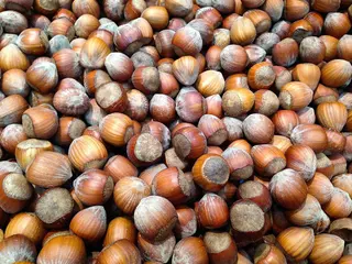 Avellanas