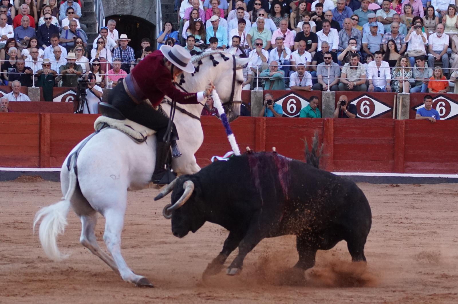 Guillermo Hermoso con 'Navegante' en Salamanca | Juanes