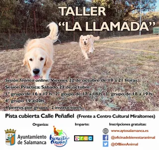 Cartel "La llamada".