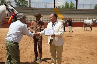 Concurso de Caballos (3)