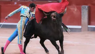 Miguel Ángel Perera en Salamanca