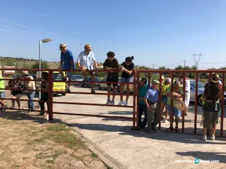 Encierro pereña (6)
