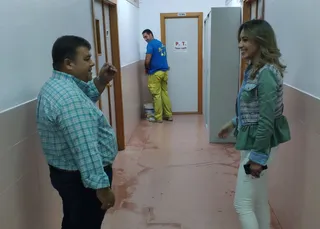 Obras coles 2019