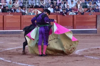 La corrida concurso para despedir la feria con Morante, Talavante y Borja Jiménez: imágenes de los mejores momentos en La Glorieta | Juanes