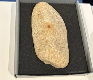 Investigadores de la Universidad de Salamanca participan en un hallazgo arqueológico único sobre los neandertales en Segovia