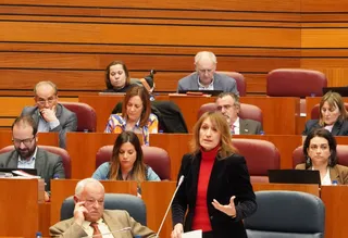 Intervención de Rocío Lucas en el pleno de las Cortes. ICAL