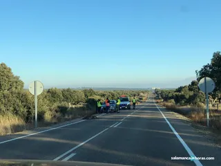 Accidente jabalí en Juzbado. Foto de archivo