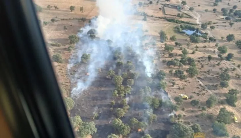 Incendio forestal en Espadaña. Foto JCYL