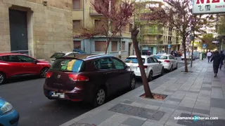 Árbol Padre Cámara
