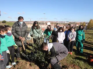 El Ayuntamiento de Salamanca, el Colegio Calasanz y el centro de Formación Profesional ‘Lorenzo Milani’ plantan las raíces del proyecto ‘Bosques savios’.
