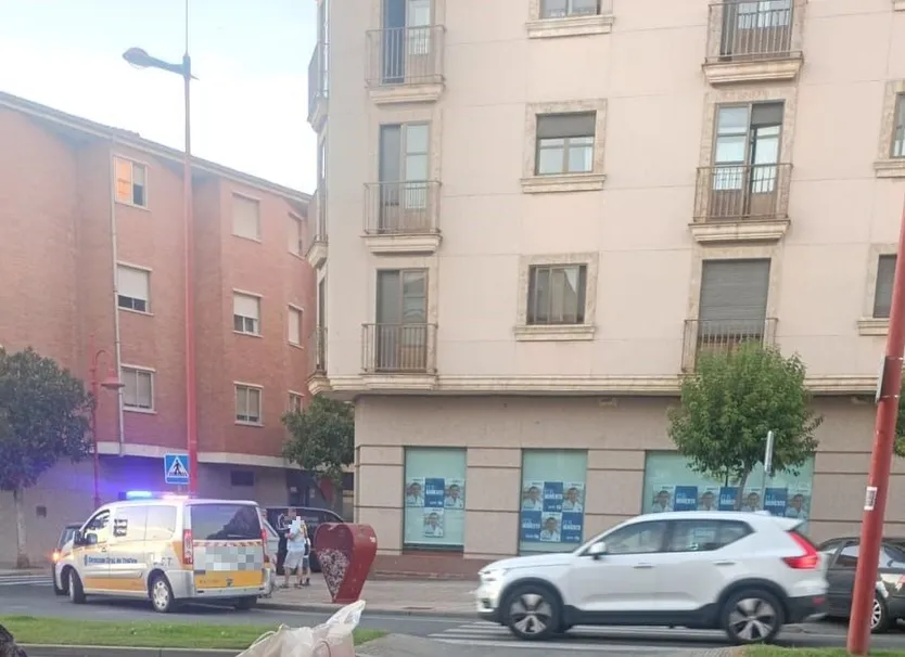 Atropello en carretera de Madrid