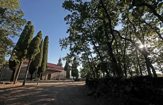 Iglesia del Robledo en Sequeros. JCyL