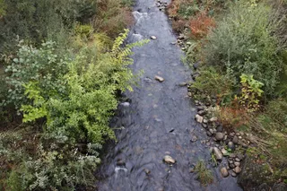 Cauce de un río
