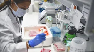 Trabajo de laboratorio. | EP
