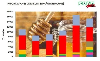 COAG denuncia que la reducción de un 40% en la cosecha de miel no reactiva los precios que recibe el apicultor