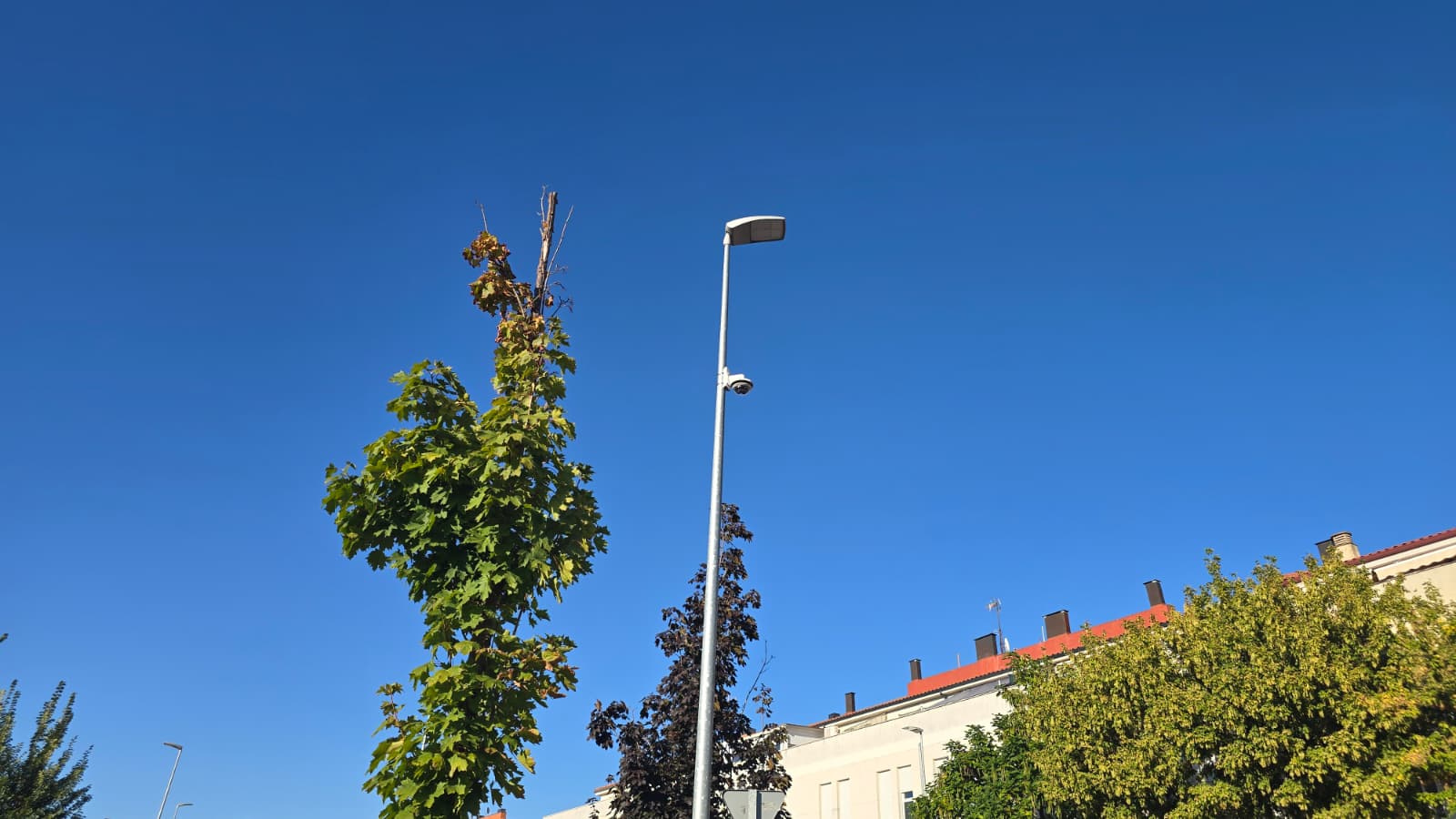 C&aacute;mara De Tr&aacute;fico Ubicada En La Calle Huerta De La Vega | Andrea Mateos