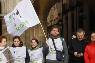 PACMA se manifiesta contra la exclusión de los perros de caza en la ley de bienestar