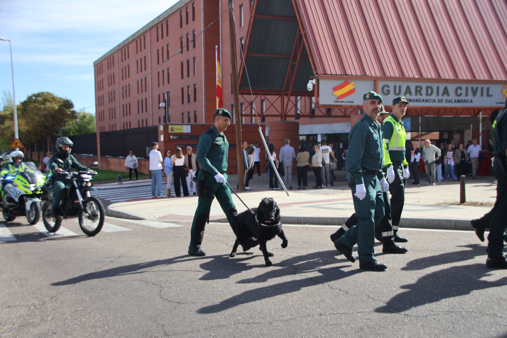 Desfile De La Guardia Civil (9)