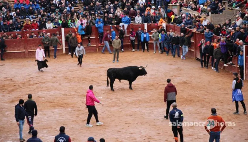 Toro del aguardiente en Ciudad Rodrigo. Carnaval 24 (19)