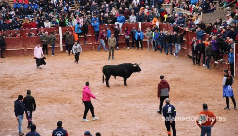 Toro del aguardiente en Ciudad Rodrigo. Carnaval 24 (19)