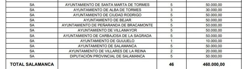 Subvenciones a ayuntamientos y Diputación de Salamanca para la contratación de jóvenes
