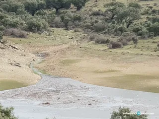 Crecida del Río Tormes en la Provincia (41)