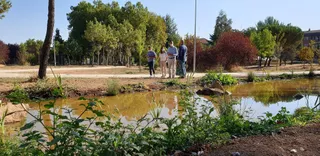 Humedal en Parque Lazarillo